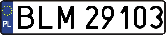 BLM29103
