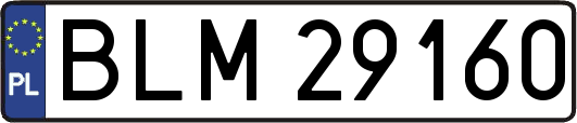 BLM29160