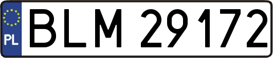 BLM29172