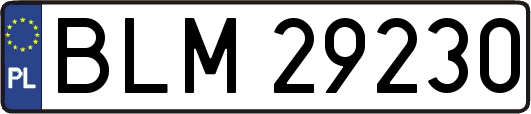 BLM29230