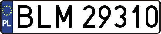 BLM29310