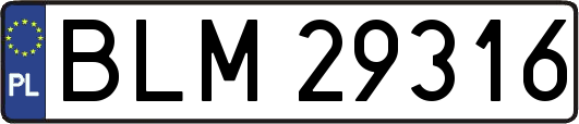 BLM29316