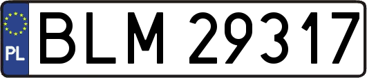 BLM29317
