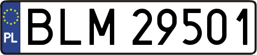 BLM29501