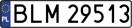 BLM29513