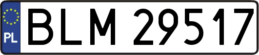 BLM29517
