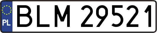 BLM29521