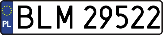 BLM29522