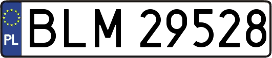 BLM29528