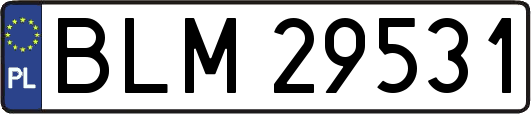 BLM29531