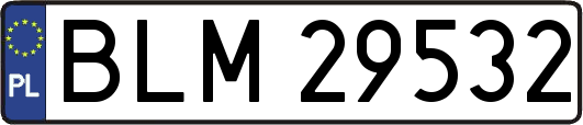 BLM29532