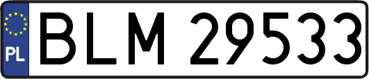 BLM29533