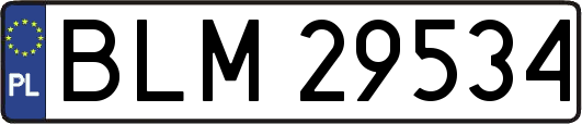 BLM29534