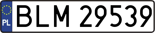 BLM29539