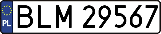 BLM29567