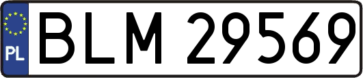 BLM29569