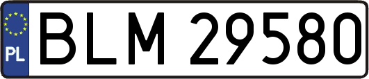 BLM29580