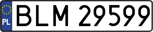 BLM29599