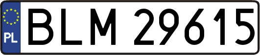 BLM29615