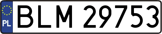 BLM29753