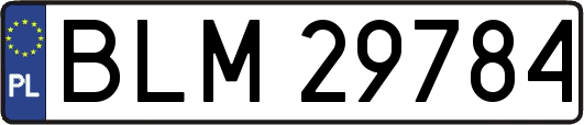 BLM29784