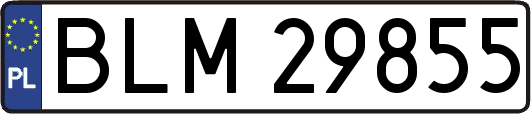 BLM29855