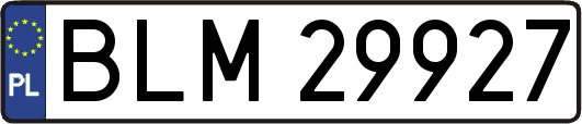 BLM29927