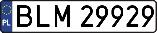 BLM29929