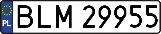 BLM29955
