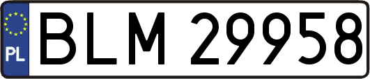 BLM29958