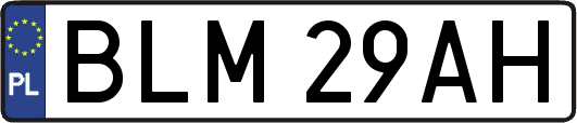 BLM29AH