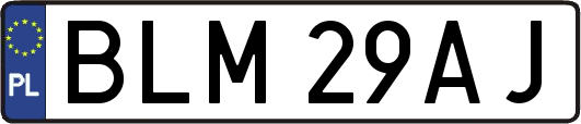 BLM29AJ