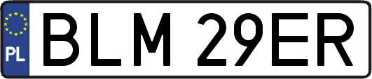 BLM29ER