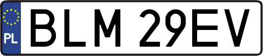 BLM29EV
