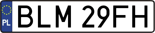 BLM29FH