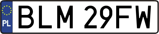 BLM29FW
