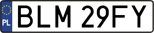 BLM29FY