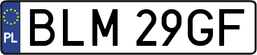 BLM29GF