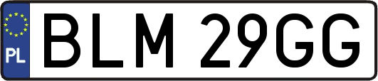 BLM29GG