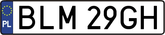 BLM29GH