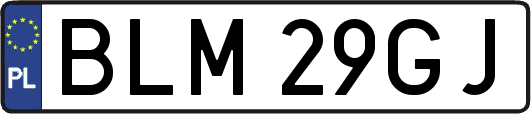 BLM29GJ