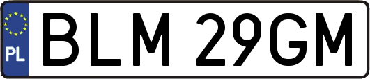 BLM29GM