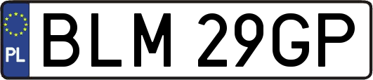 BLM29GP