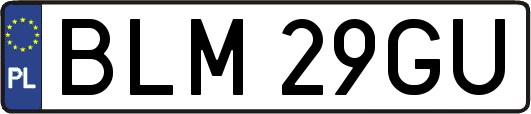 BLM29GU