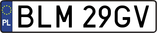 BLM29GV