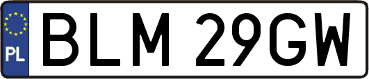 BLM29GW