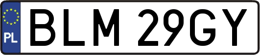 BLM29GY