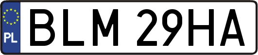 BLM29HA