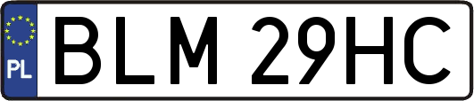 BLM29HC