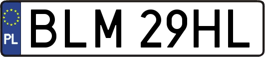 BLM29HL